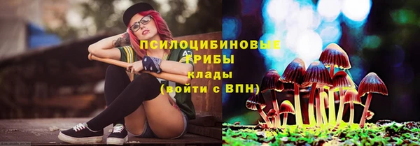 сатива Абинск