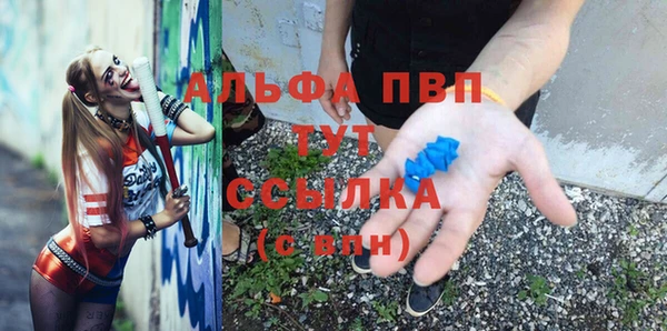 сатива Абинск