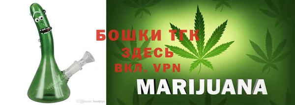 сатива Абинск