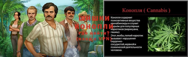 сатива Абинск